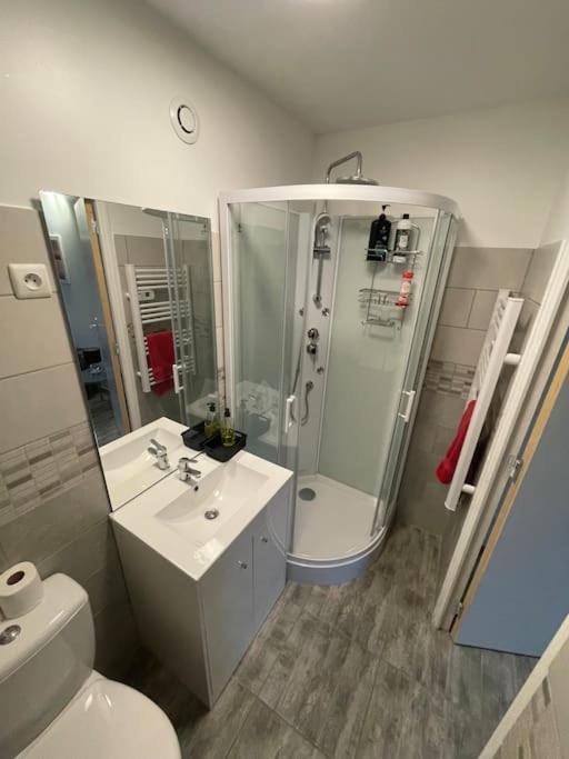 Apartment Superbe Terrasse Wifi Paroy-sur-Tholon
